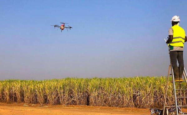 Drones and data for precision agriculture