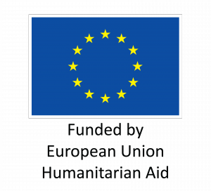EU_Flag_HA_2016_EN-300x272