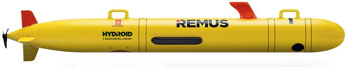 remus-100-700x135