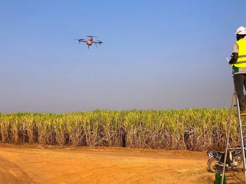 Crop spraying using a drone